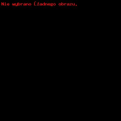 RÓŻNE_2
